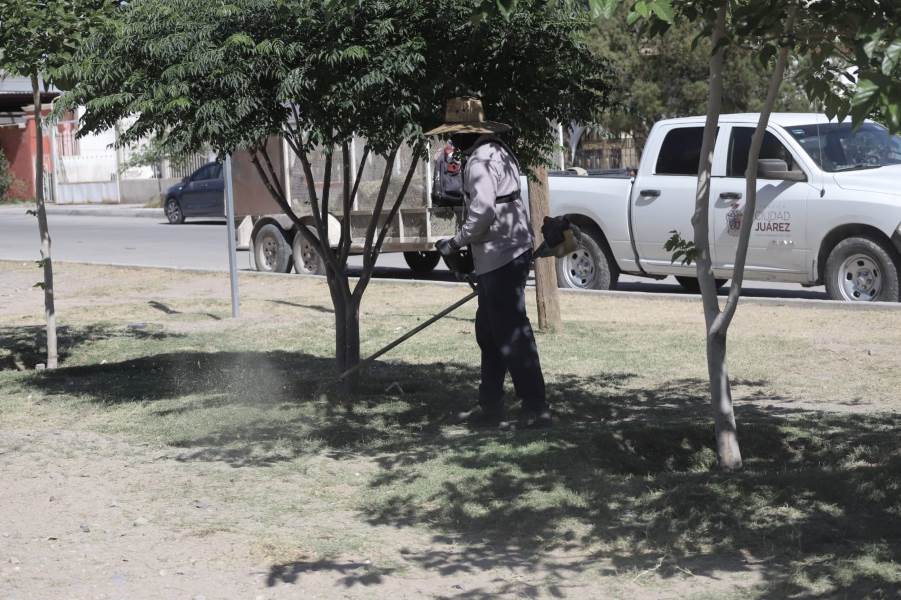 Realizan mantenimiento en parque de la colonia Fundidora