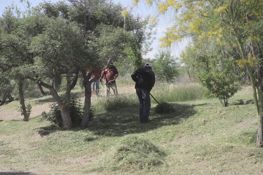 Realizan mantenimiento en parque de Jardines del Valle