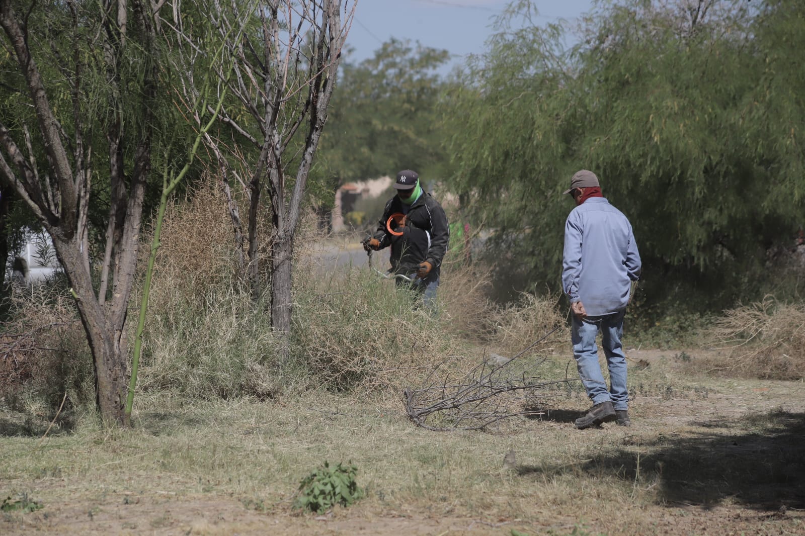 Dan mantenimiento a parque en Fraccionamiento Quintas del Valle.