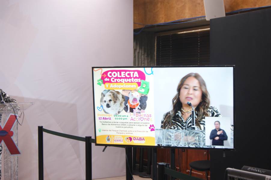 Invitan a jornada de adopción y donación por el Día de las Buenas Acciones