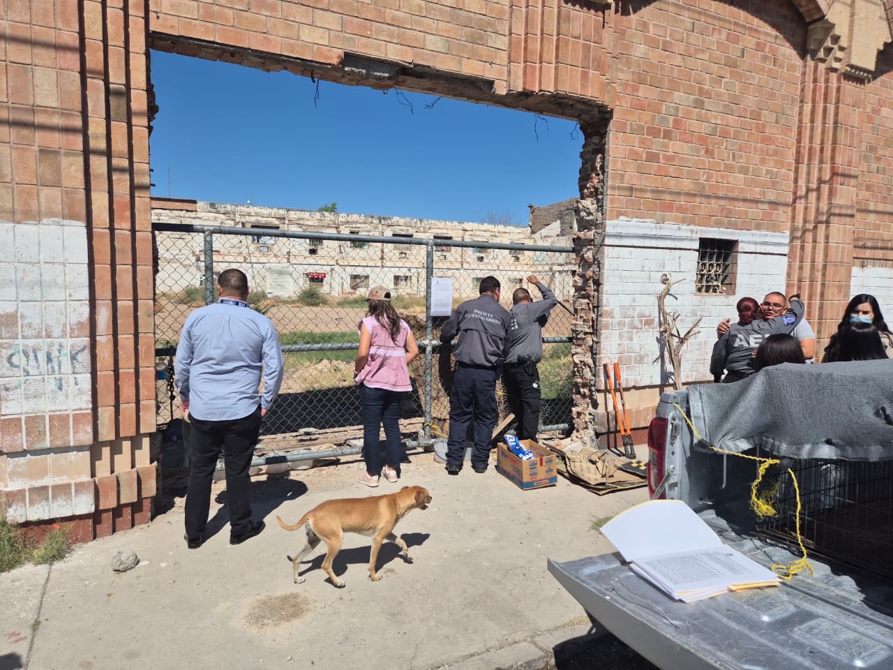 Mantiene DABA labor de rescate de animales maltratados.