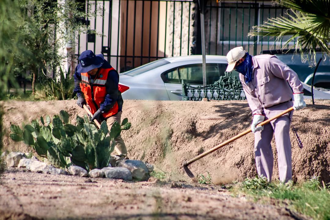 Realiza JMAS obras de limpieza en fraccionamiento Jardines del Lago.