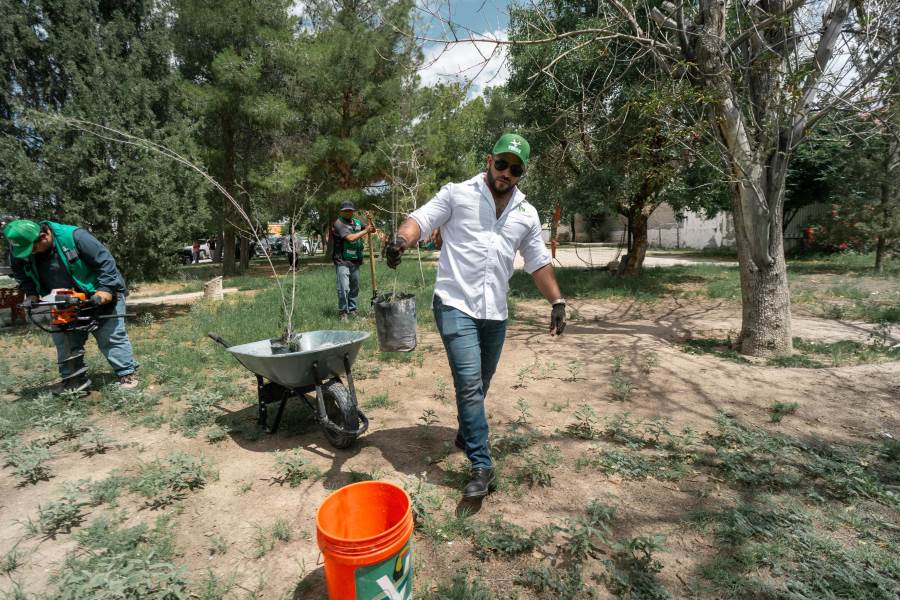 Foresta Alex Pérez Escalante parques y fraccionamientos con casi 1,200 árboles