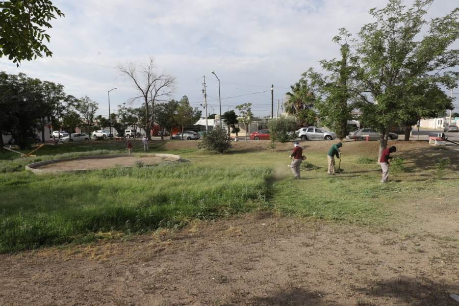 Benefician al fraccionamiento Nuevo Milenio con mantenimiento en Parques