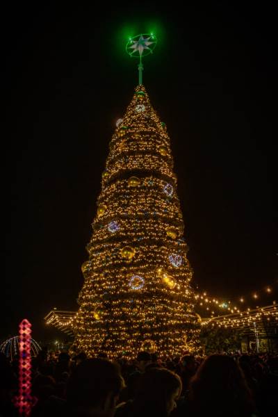 Realizan Encendido del Árbol de Navidad en el Parque Central Oriente