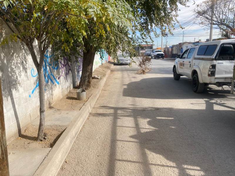 Realizan labores de limpieza en Praderas de Henequén