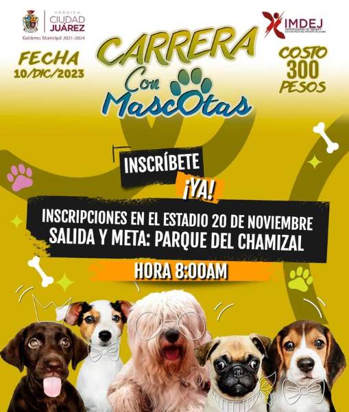 Invitan a participar en las carreras de Santa Bombero y la Primera de Mascotas