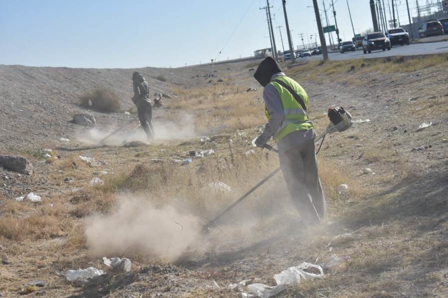 Limpian el bordo del Río Bravo