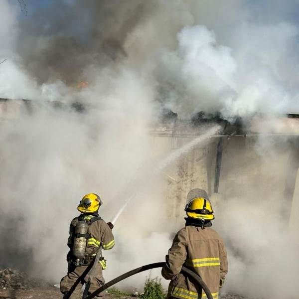 Protección Civil atendió 46 servicios de emergencia en las últimas 24 horas