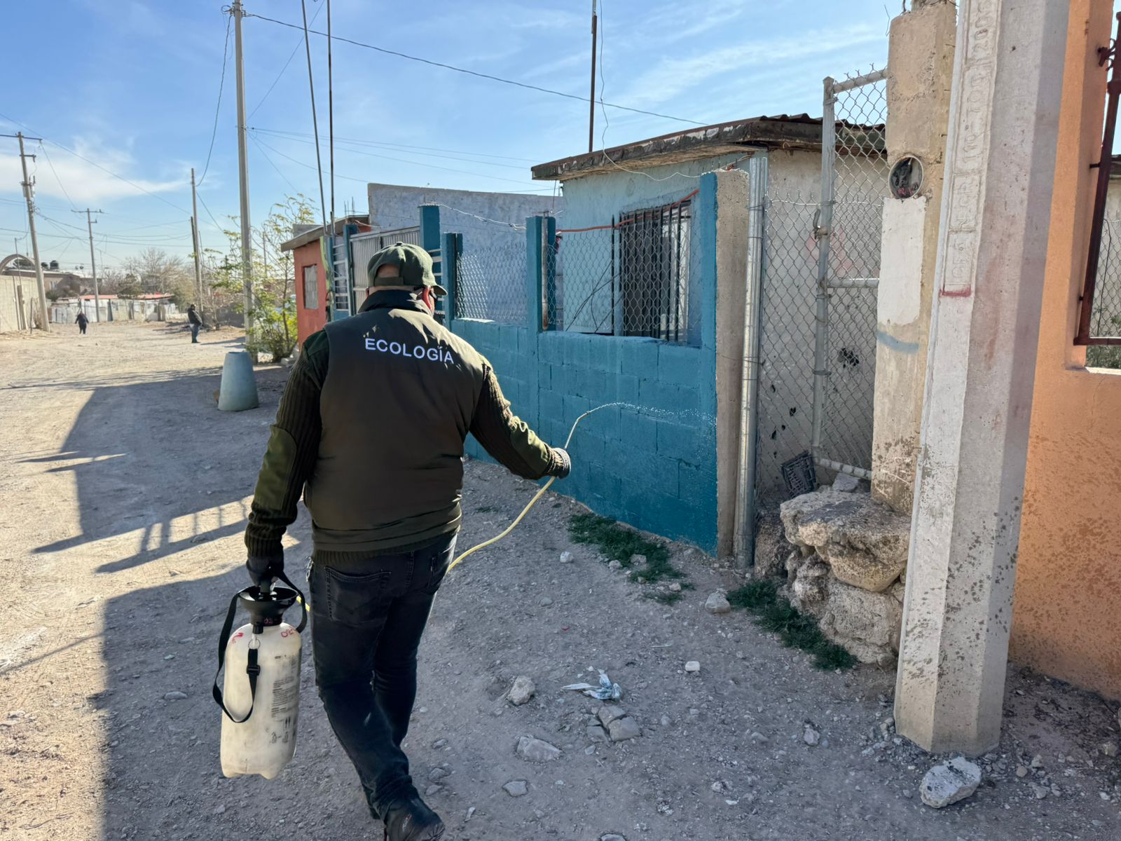 Detectan aumento de garrapatas y casos de rickettsiosis en Ciudad Juárez