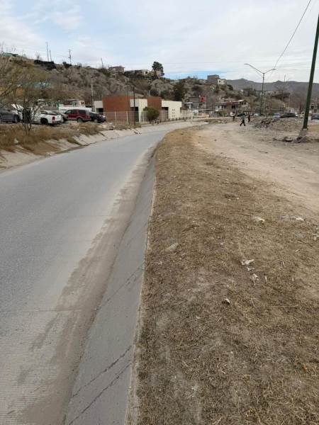 Realizan mantenimiento en camellón de Arroyo de las Víboras