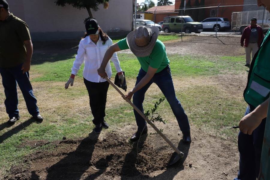Realiza el diputado Alejandro Pérez Cuéllar jornada de forestación en Campestre Arboleda con apoyo de Parques y Jardines  