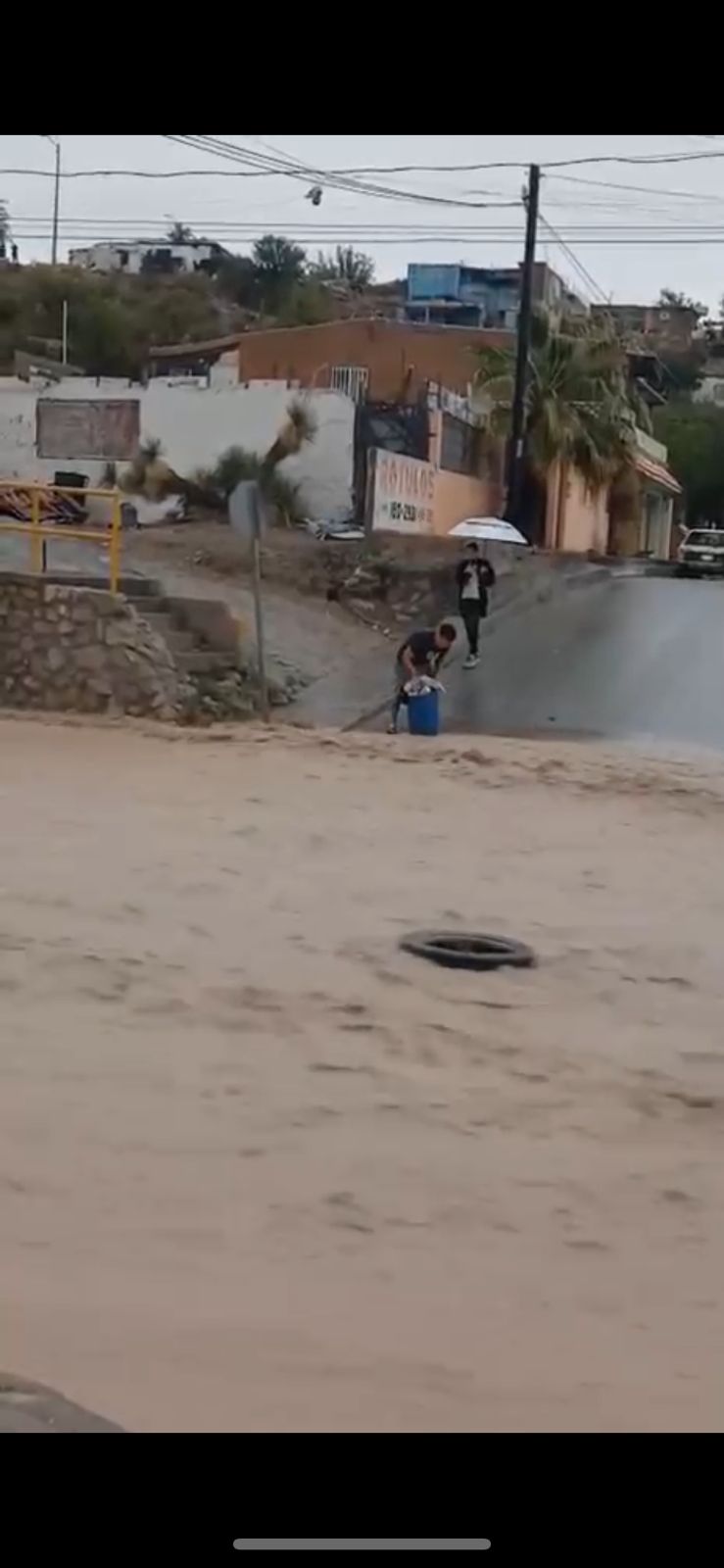 Piden ayuda a ciudadanos para identificar al Cochino de la Semana.