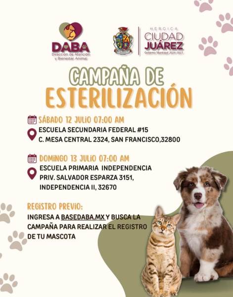 Invita DABA a campaña gratuita de esterilización este fin de semana