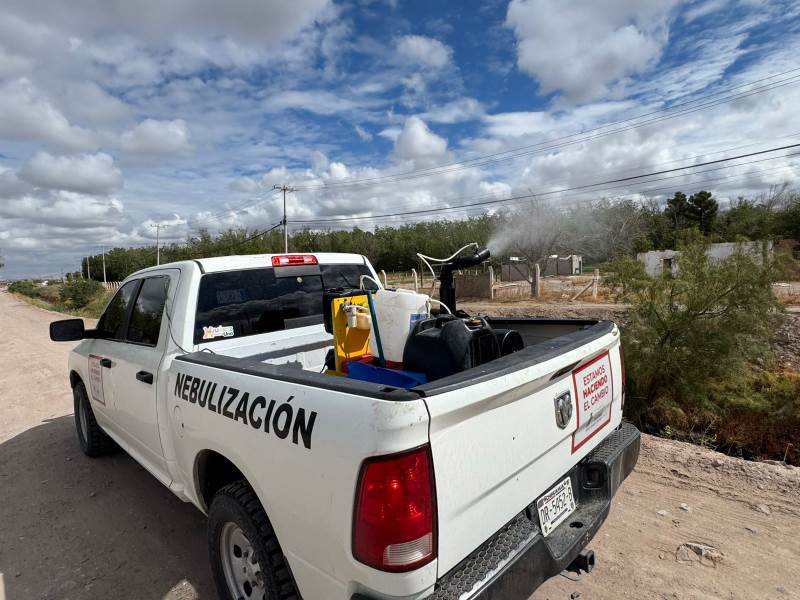 Intensifica Ecología labores de nebulización y fumigación para prevenir enfermedades