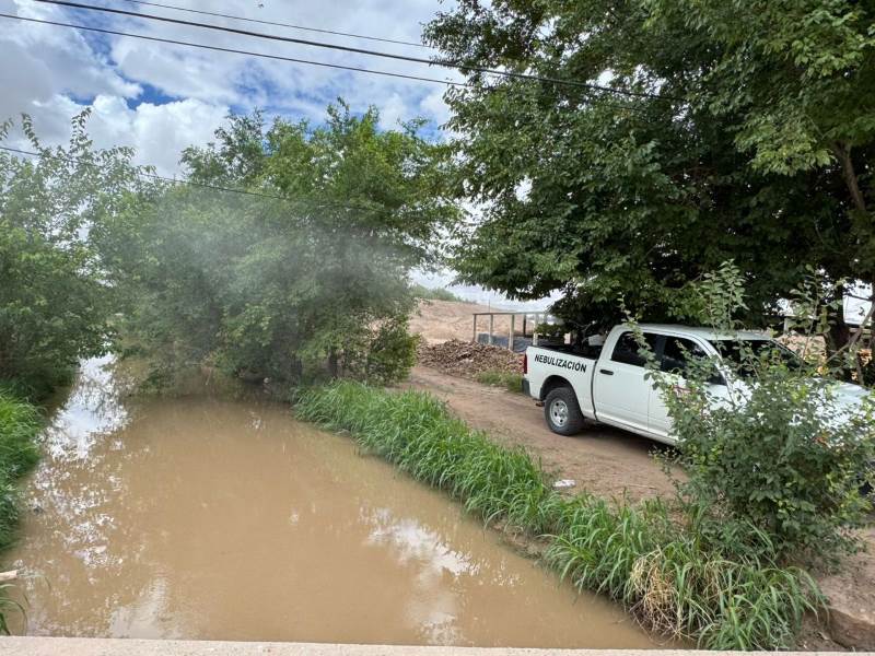 Llevan a Riberas del Bravo fumigación a base de nebulización vs moscos