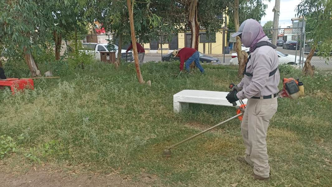 Dona empresa Toro Company maquinas podadoras a Parques y Jardines