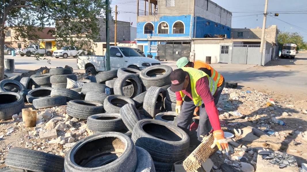 Exhortan hacer uso adecuado de la basura