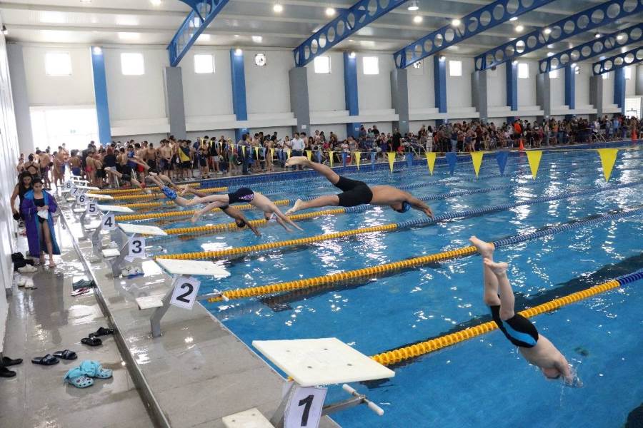 Éxito total en el Torneo Estatal de Natación C.L. 2025