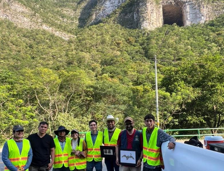 UACH monitoreó la mayor colonia de murciélagos del norte de México