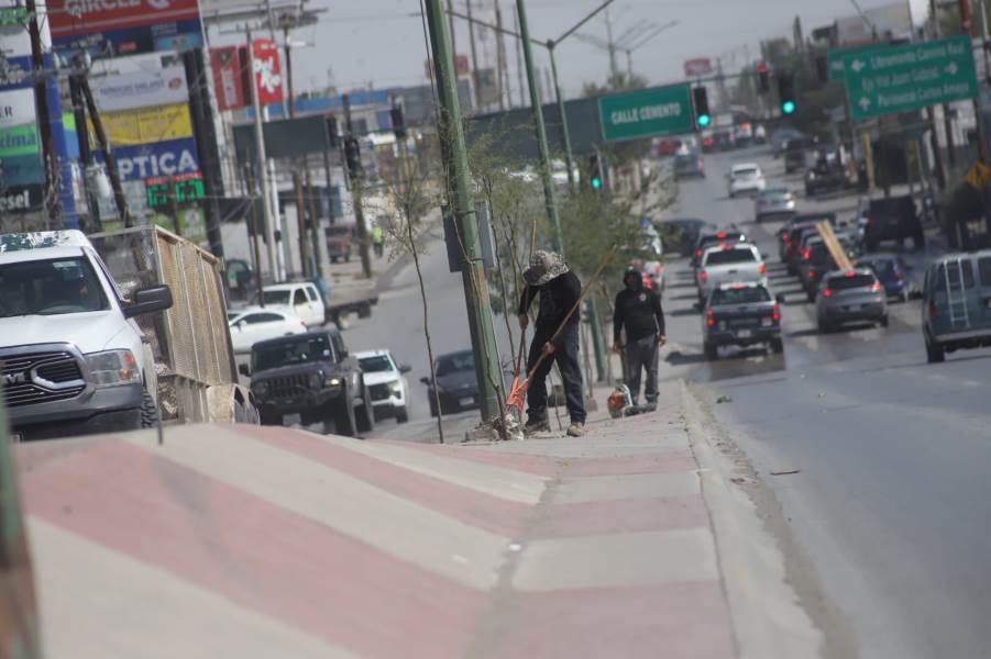 Intervienen camellón central de la avenida De los Aztecas