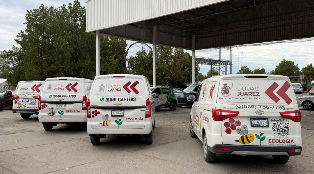 Refuerzan programa de fumigación con más personal y equipo