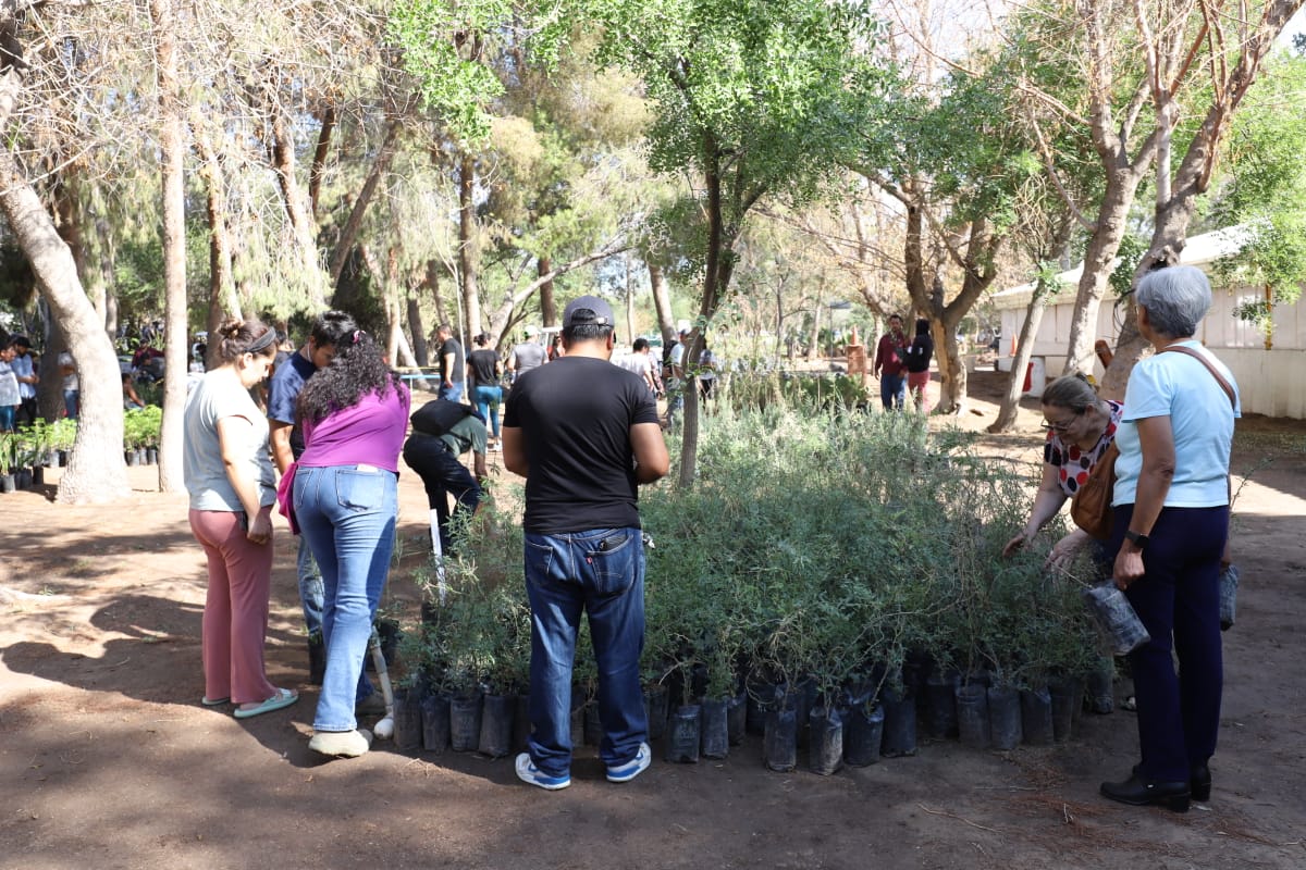 Encabeza Parques y Jardines jornada de donación de árboles en el Día Mundial del Árbol