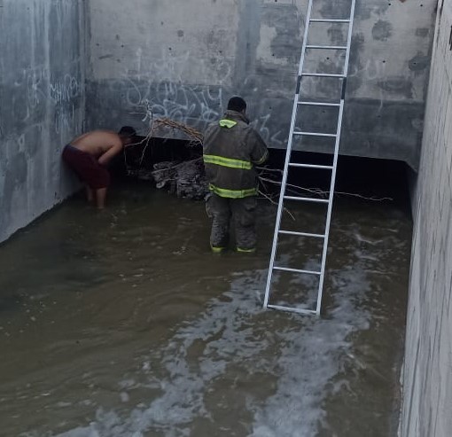 Rescatan a perro que quedó atrapado en un canal.