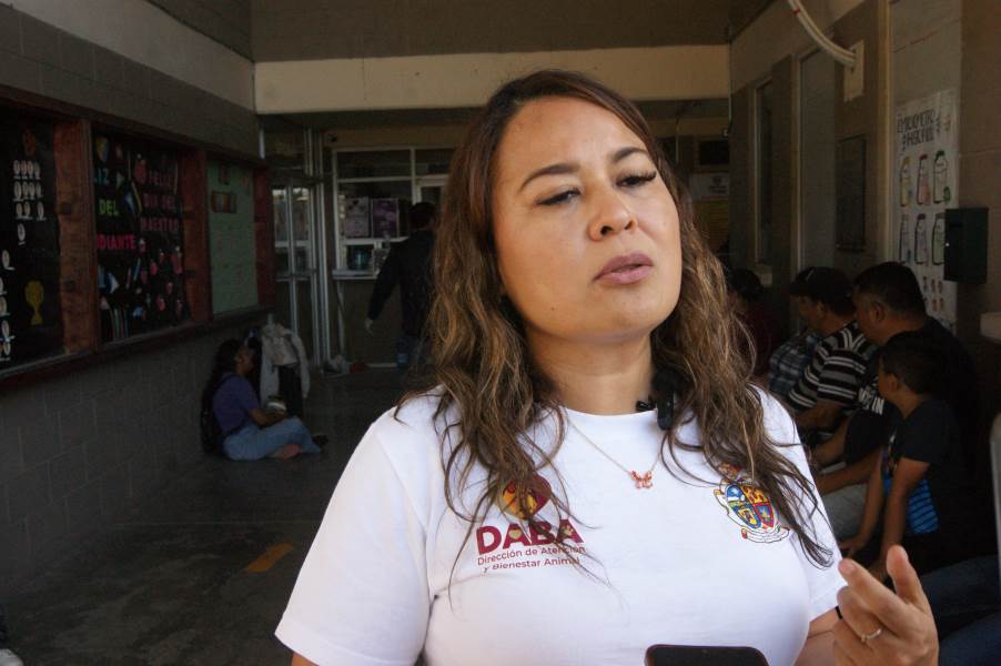 Avanzan en esterilización de mascotas con 250 cirugías.