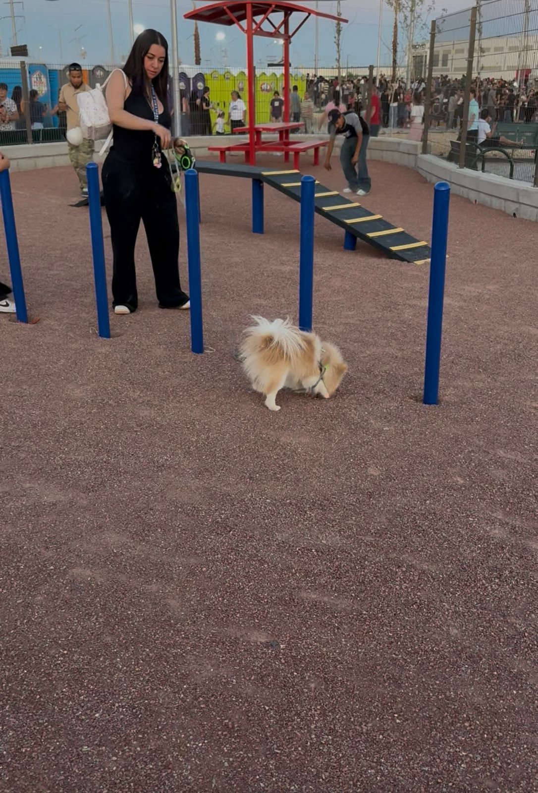 Parque Urbano Suroriente cuenta con área para mascotas