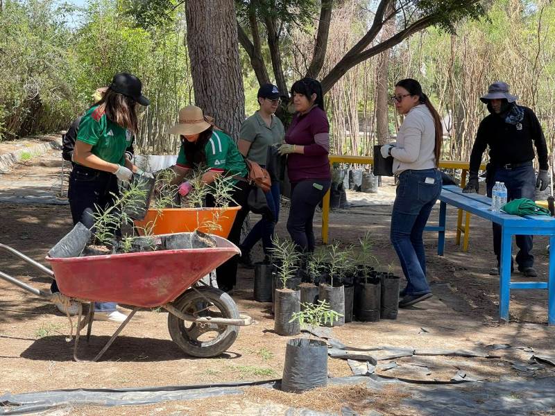 Aumenta participación de voluntarios en jornada de trabajo en el Vivero Municipal