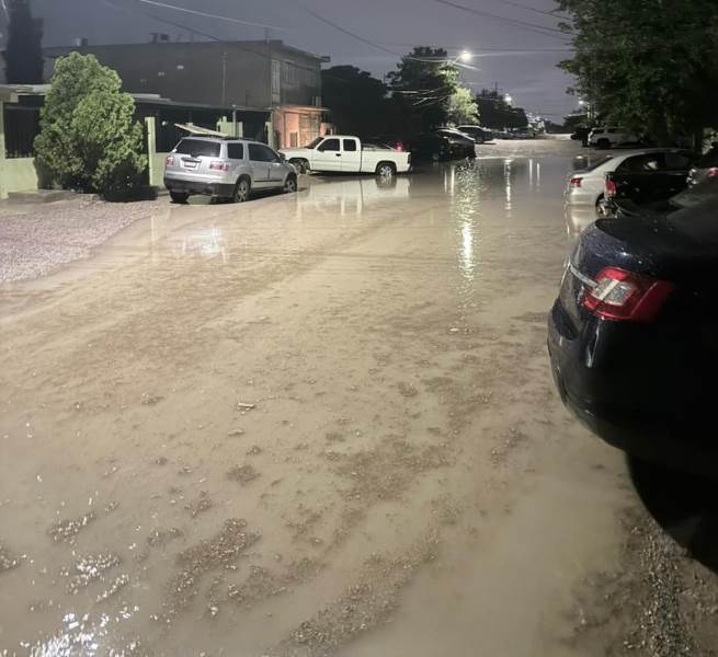 Lluvias dejan inundaciones, árboles caídos y daños en Ciudad Juárez