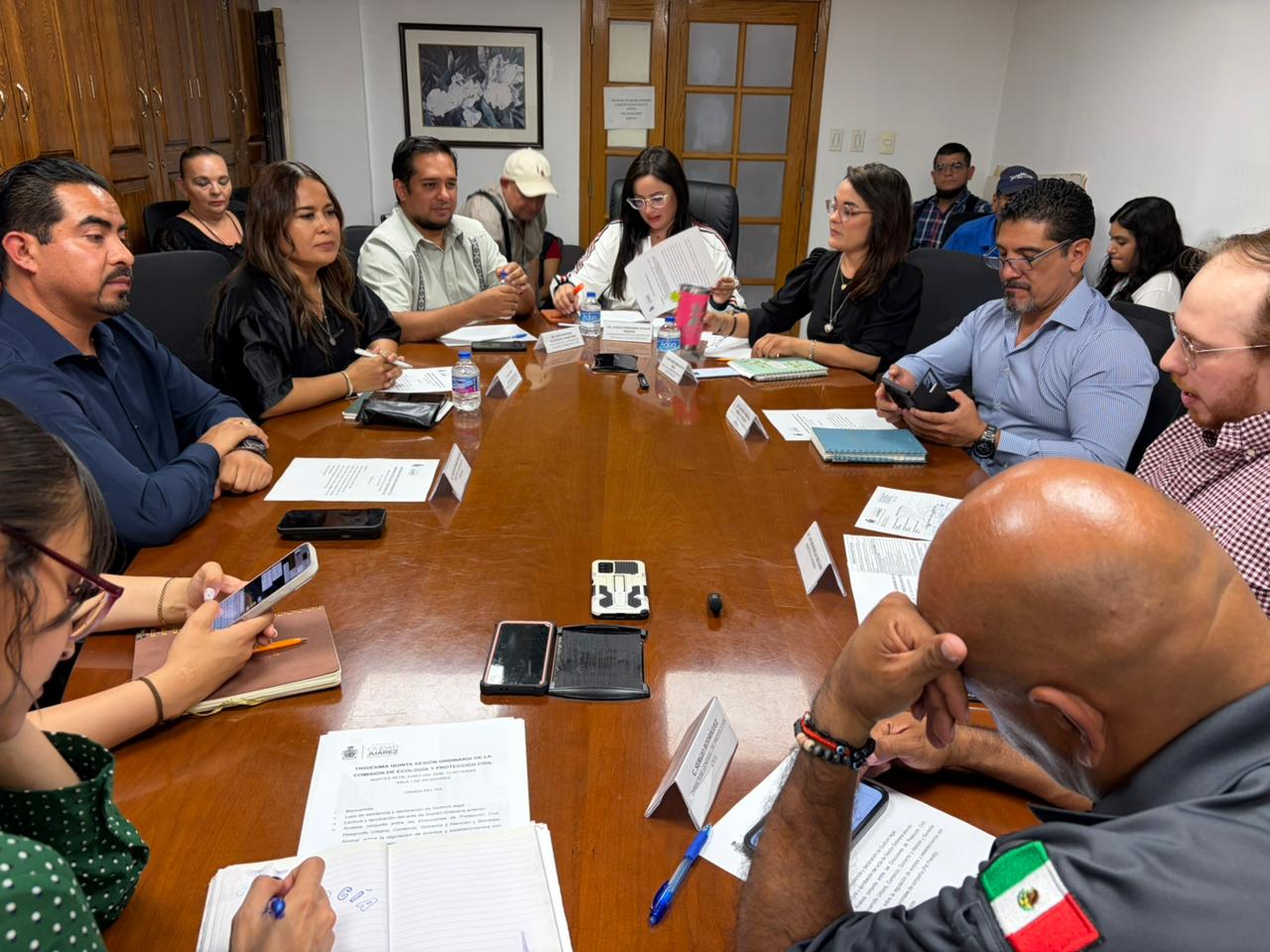 Buscan regular eventos y establecimientos con acceso para mascotas