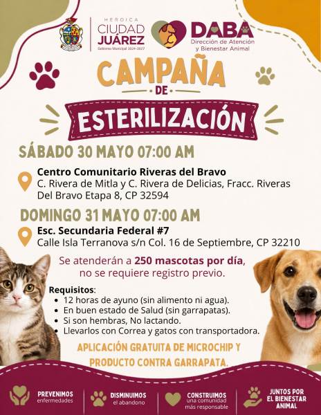 DABA realizará campaña gratuita de esterilización este fin de semana