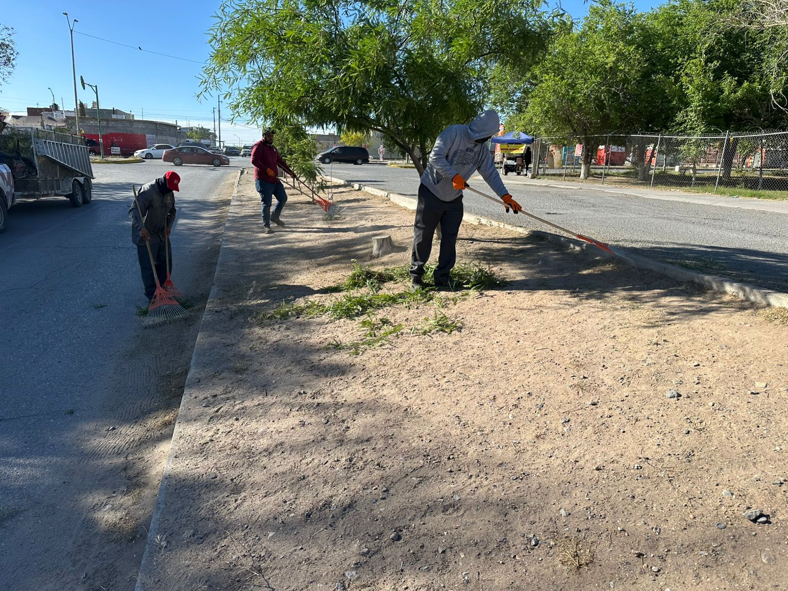 Realizan limpieza en camellón de Rincón de la Extremadura