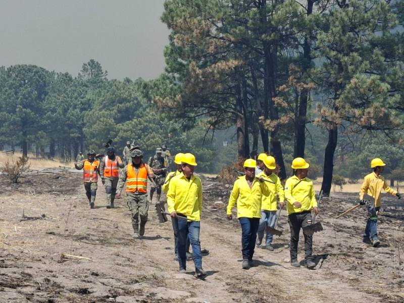 El estado de Chihuahua registra 15 incendios forestales activos
