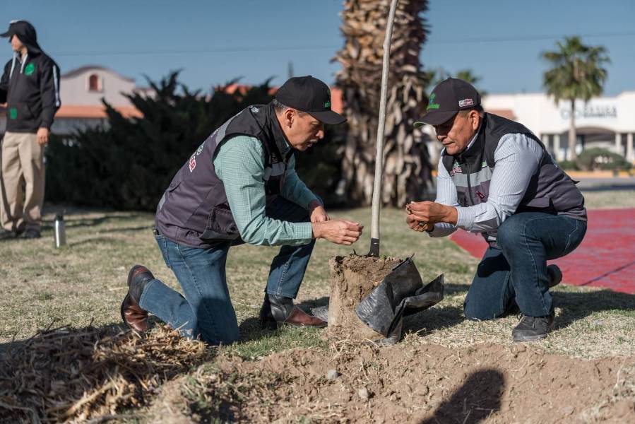 Realizan jornada de forestación en la avenida Rafael Pérez Serna