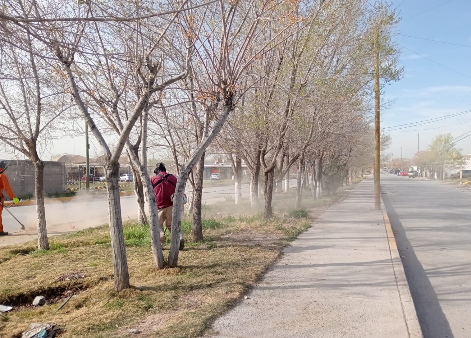 Realizan labores de limpieza en camellón de Riberas del Bravo.