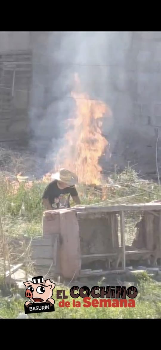 Piden apoyo para identificar al Cochino de la Semana.