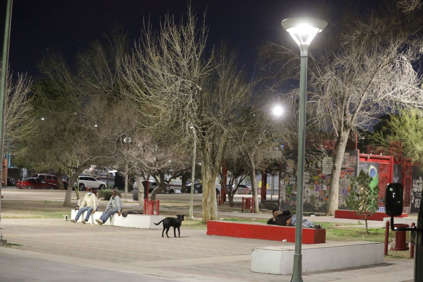 Instalan más de 250 luminarias en espacios públicos.