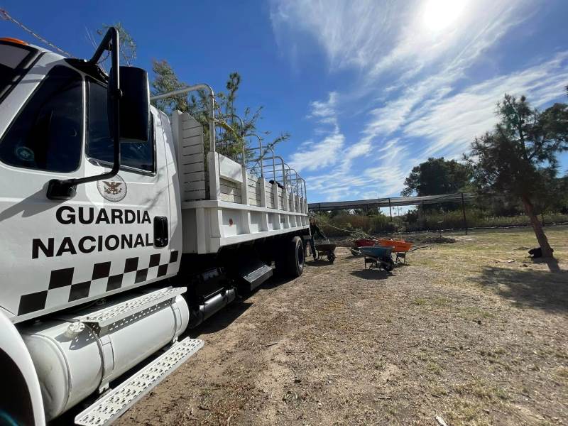 Forestarán cuarteles de la GN parques y Jardines dono 300 arboles