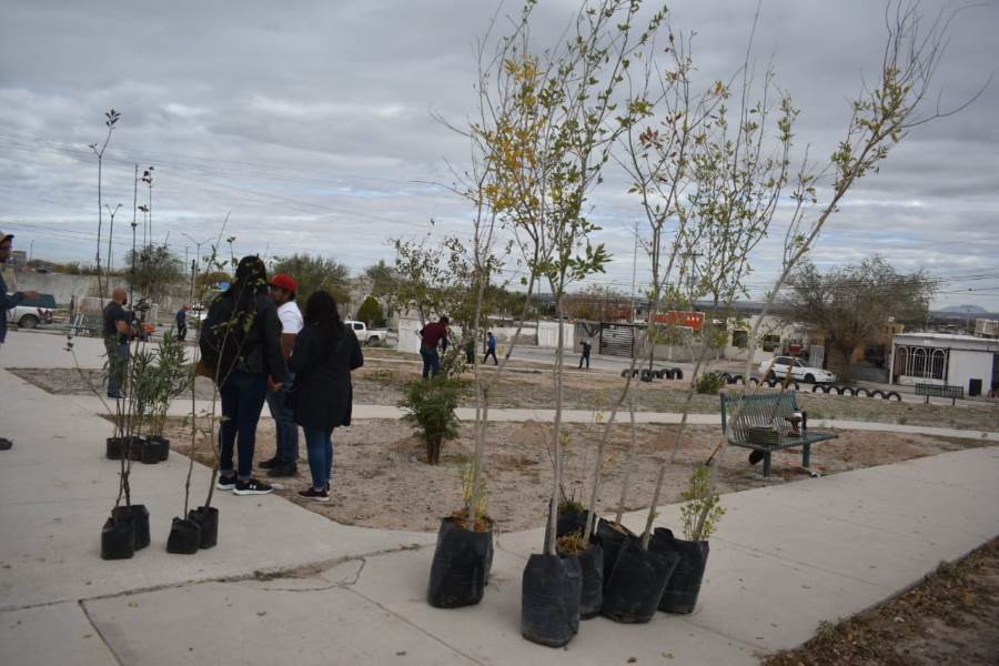 Reforestan parques de la ciudad