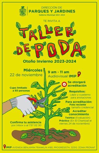 Arrancan capacitaciones para podas de arboles