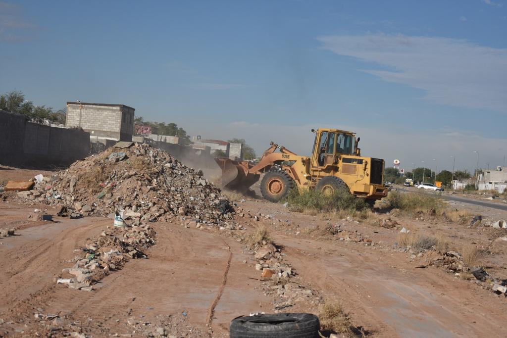 Arrancan proceso de limpieza en fincas abandonadas y lotes baldíos.