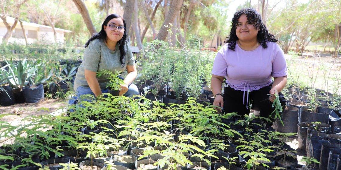 Estudiantes de Biología impulsan germinación y producción de plantas