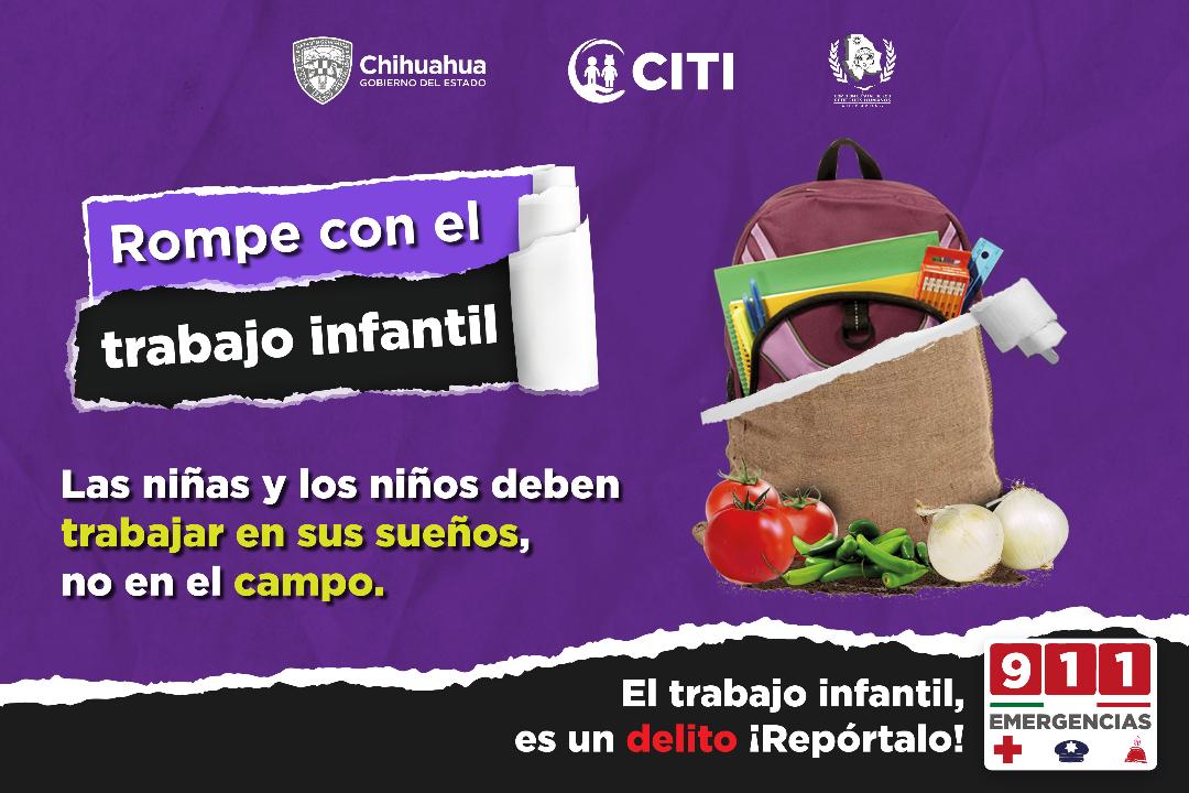 Mantiene STPS programa permanente de vigilancia en el combate al trabajo infantil
